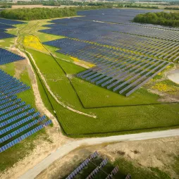 Dubois County Solar (AES Indiana)